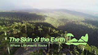 The Skin of the Earth - Where Life Meets Rocks