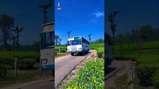 Nelliyampathy | Palakkad | #shorts #shortvideo #palakkad