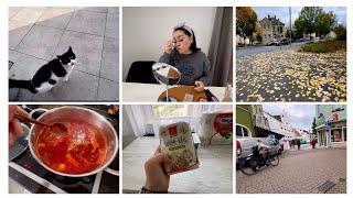 Milana LifeVlog Вопрос с работой закрыт!|Какой удачный день! |что купила в Edeka?| вкусный борщ