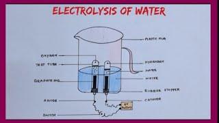 how to draw elecrolysis of water diagram easily#X science important diagram