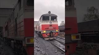 Тепловозы серии 2ТЭ10М, 2ТЭ10М (АБК). 2ТЭ10У, ТЭМ2. #railway #train #locomotive #тепловоз #2тэ10м