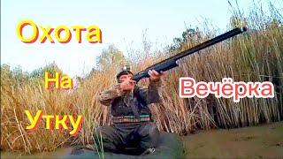 Охота на утку вечёрка ружьё  мр 155