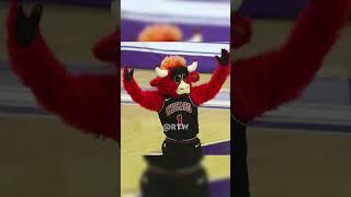 NBA Mascots Vs NFL Mascots  #shorts