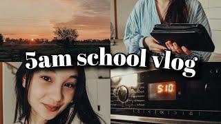 PRODUKTIVER 5 UHR MORGENS VLOG (vor der Schule) | Lara Emily