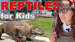 Reptile Stories for Kids | Soso Reptiles Toys Come To Life!