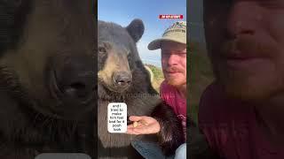 Getting bit by a bear! (Playfully) #animals #amazinganimals #animalsofyoutube