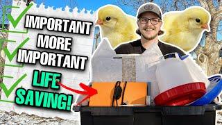 Chick Supplies Checklist | What You NEED BEFORE Getting Baby Chickens!