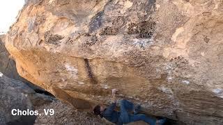 Bishop「Cholos」V9