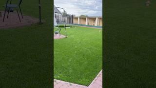 #газоннаятрава #трава Лужайка для выгула собак
