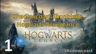 [HWL 1] Shadowcoast Ebonblade is Accepted to Hogwarts! A Hogwarts Legacy Magical Journey!