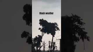 Black weather..️