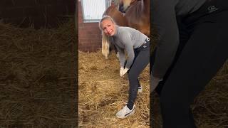 Pferdehofliebe - Ehering verloren! #pferdehofliebe #equestrian #youtubeshorts #pferde #shorts #fy