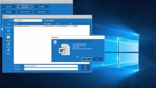 5 - Windows 10 Look and Feel for VCL and FMX - Al Mannarino