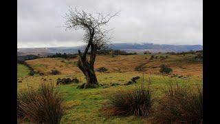 Bronze Age Cairn near Ysgubor-wen, Ystradfellte, Powys