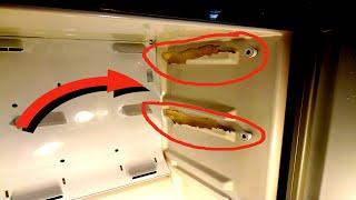 Ремонт холодильника Самсунг. Samsung refrigerator repair