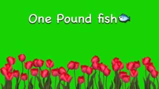 One Pound Fish