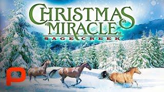 Christmas Miracle At Sage Creek (Full Movie) PG | Western, Family |David Carradine, Wes Studi,