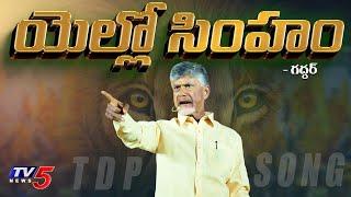 Yellow Singam | TDP NEW SONG 2024 | Chandrababu | Nalgonda Gaddar Narsanna | TV5 News