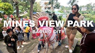 MINES VIEW PARK  I  BAGUIO CITY