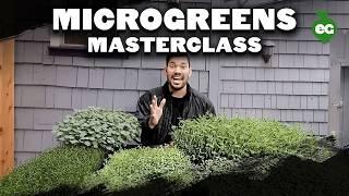 How to Grow Microgreens from Start to Finish (COMPLETE GUIDE)