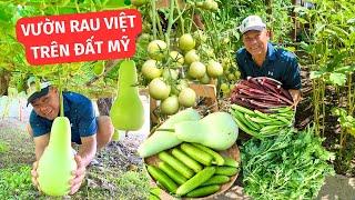 #183| VƯỜN RAU VIỆT TƯƠI TỐT CHẲNG KÉM QUÊ NHÀ TRÊN ĐẤT MỸ - KHI BỐ BIẾN GIẤC MƠ THÀNH HIỆN THỰC