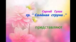 Солёная струна- "Визит..."