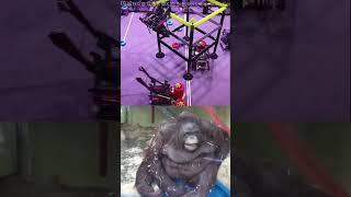 Monkey arm fall t3 climb/hang  Gremlin #highstakes #vex  #vexrobotics