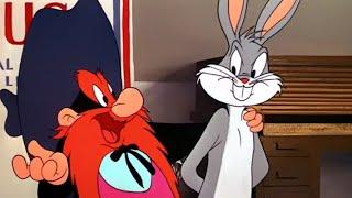 Looney Tunes Golden Collection S 01 E 12 B - BALLOT BOX BUNNY ‎@LOOcaa  