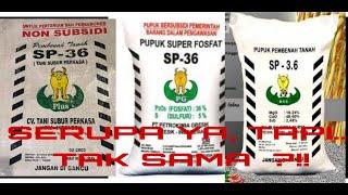 Tulisan di kemasan SP-36, Ternyata bukan Pupuk Super Phospat SP-36 !!! || Kembar tapi Beda !!! ||