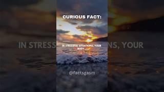 IN STRESSFUL SITUATIONS, YOUR BODY … @Factsgasm #shorts