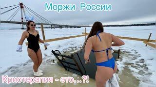 Попробуйте, Вам понравится! Russian walruses.Swimming in ice water. |HD| МОРЖИ РОССИИ.