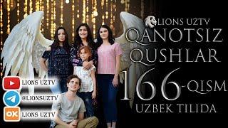 QANOTSIZ QUSHLAR 166 QISM TURK SERIALI UZBEK TILIDA | КАНОТСИЗ КУШЛАР 166 КИСМ УЗБЕК ТИЛИДА