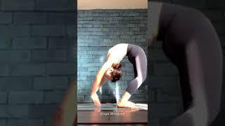 EASY Yoga Poses for Complete Beginners  Yoga With Helen