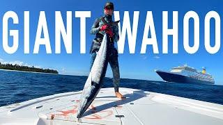 Insane Spearfishing Action | Giant Fish & Epic Underwater Hunts