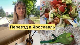 ПЕРЕЕЗД В ЯРОСЛАВЛЬ НОВАЯ ЖИЗНЬ