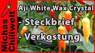 Aji White Wax Crystal  |  Steckbrief und Verkostung  |  Chili Sorten  |  Chilis