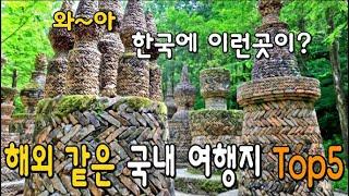 해외에 온 것 같은 국내 여행지 Top 6 The  most beautiful and mysterious forest in South Korea  & Relaxing Music