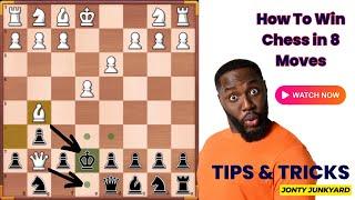 How To Win Chess in 8 Moves | Jonty Junkyard