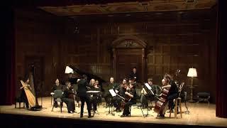 Robert  Morris:   Multiplicities, and then some (2018) for chamber orchestra
