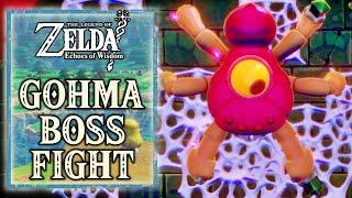 The Legend of Zelda Echoes of Wisdom - Gohma Boss Fight