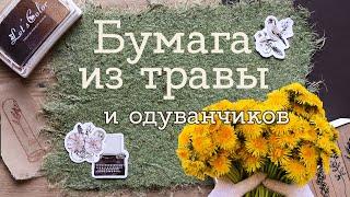 Пробую сделать БУМАГУ ИЗ ТРАВЫ И ОДУВАНЧИКОВ | Masherisha