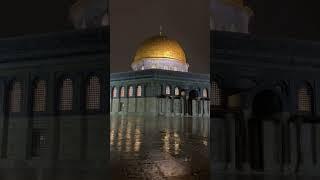 Save Palestine Save Al Aqsa #viral #palestine #alaqsa