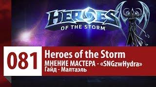 МНЕНИЕ МАСТЕРА: «SNGzwHydra» (Гайд - Малтаэль) | Heroes of the Storm