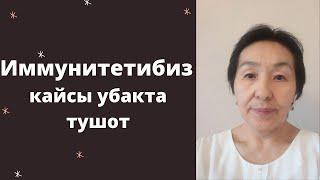 Иммунитетибиз кайсы убакта тушот. Иммунитет кандай иштейт.