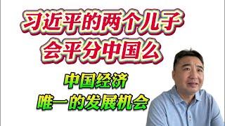 翟山鹰：习近平的两个儿子会平分中国么？中国经济唯一的发展机会。