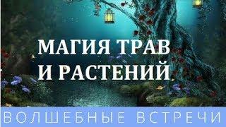 Дарья Ким  Магия растений и трав