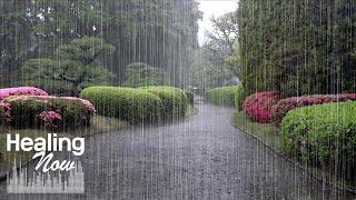 Heavy rain sounds that help you forget worries and fall asleep comfortably - End insomnia, Study