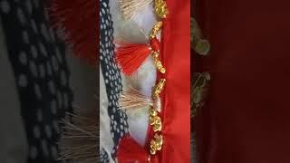 Saree kuchullu