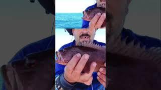 #houdini fish escapes from #twitch #fishing streamer #shorts