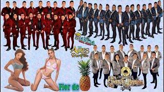 Flor de Piña Banda Aires del Pacífico Ft Banda del Rey Ft La Quinta Banda